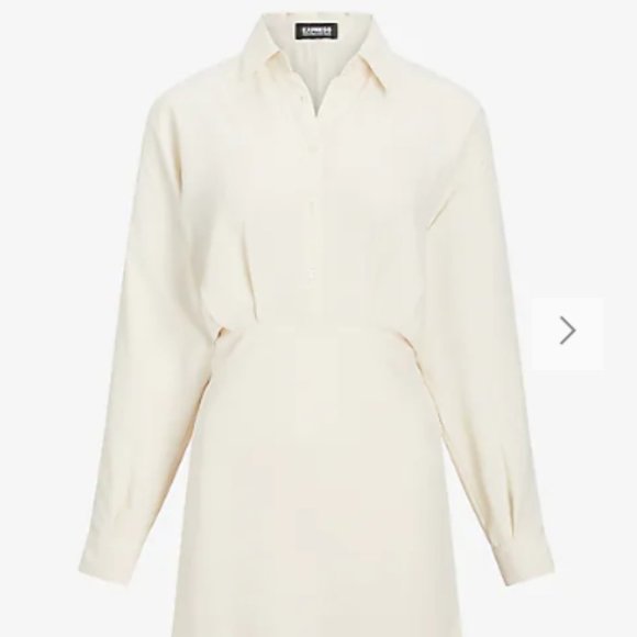 Collared Half Button Up Mini Portofino Shirt Dress - Picture 5 of 5